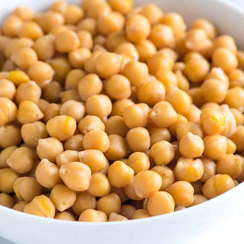 Chickpea