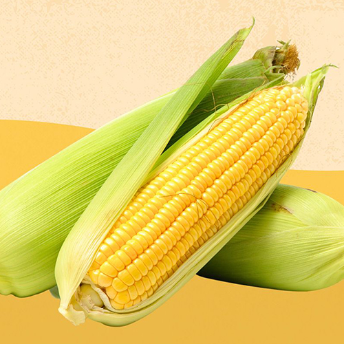 Corn