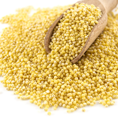 Millet